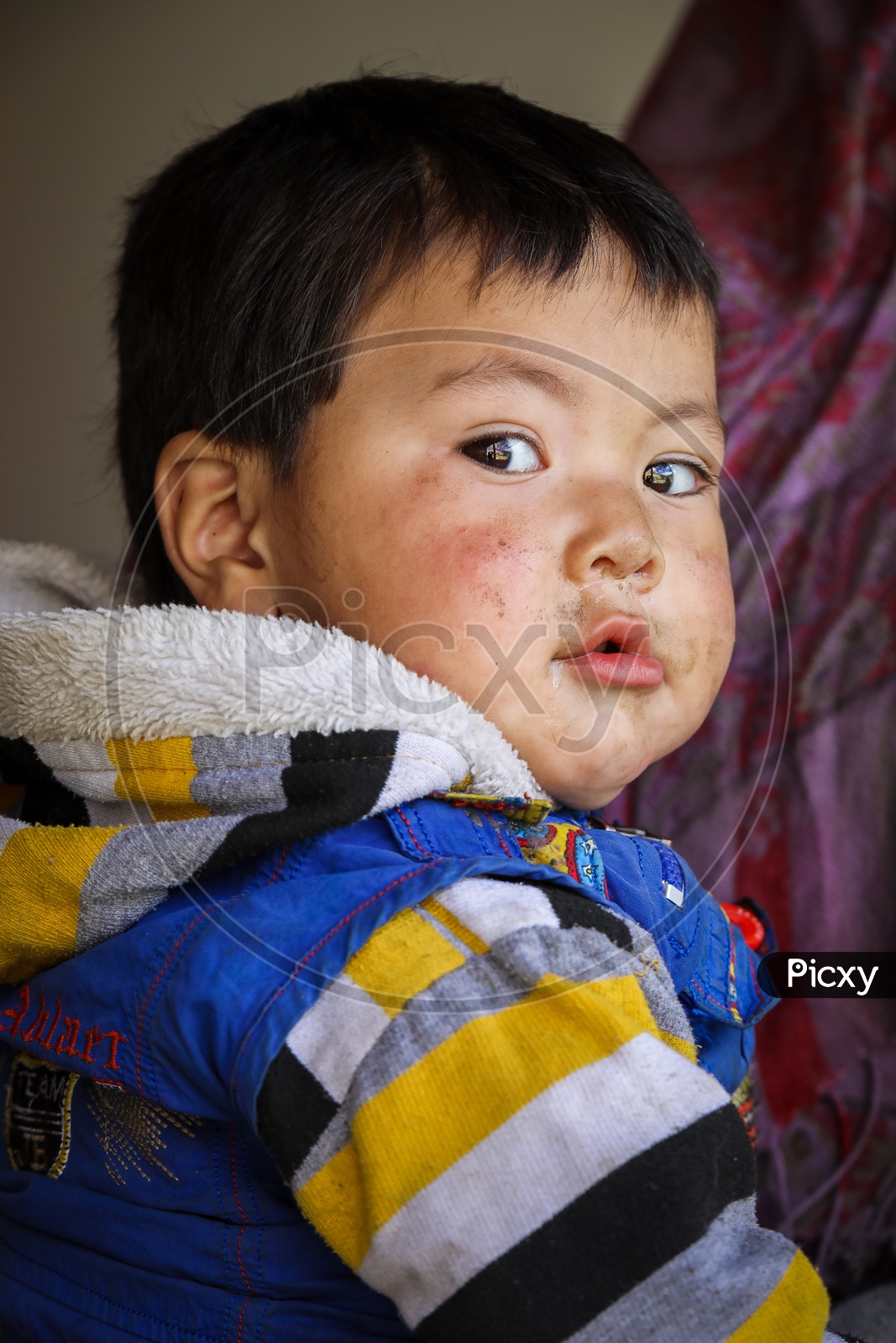 Portrait of Himalayan kid wearing sweater