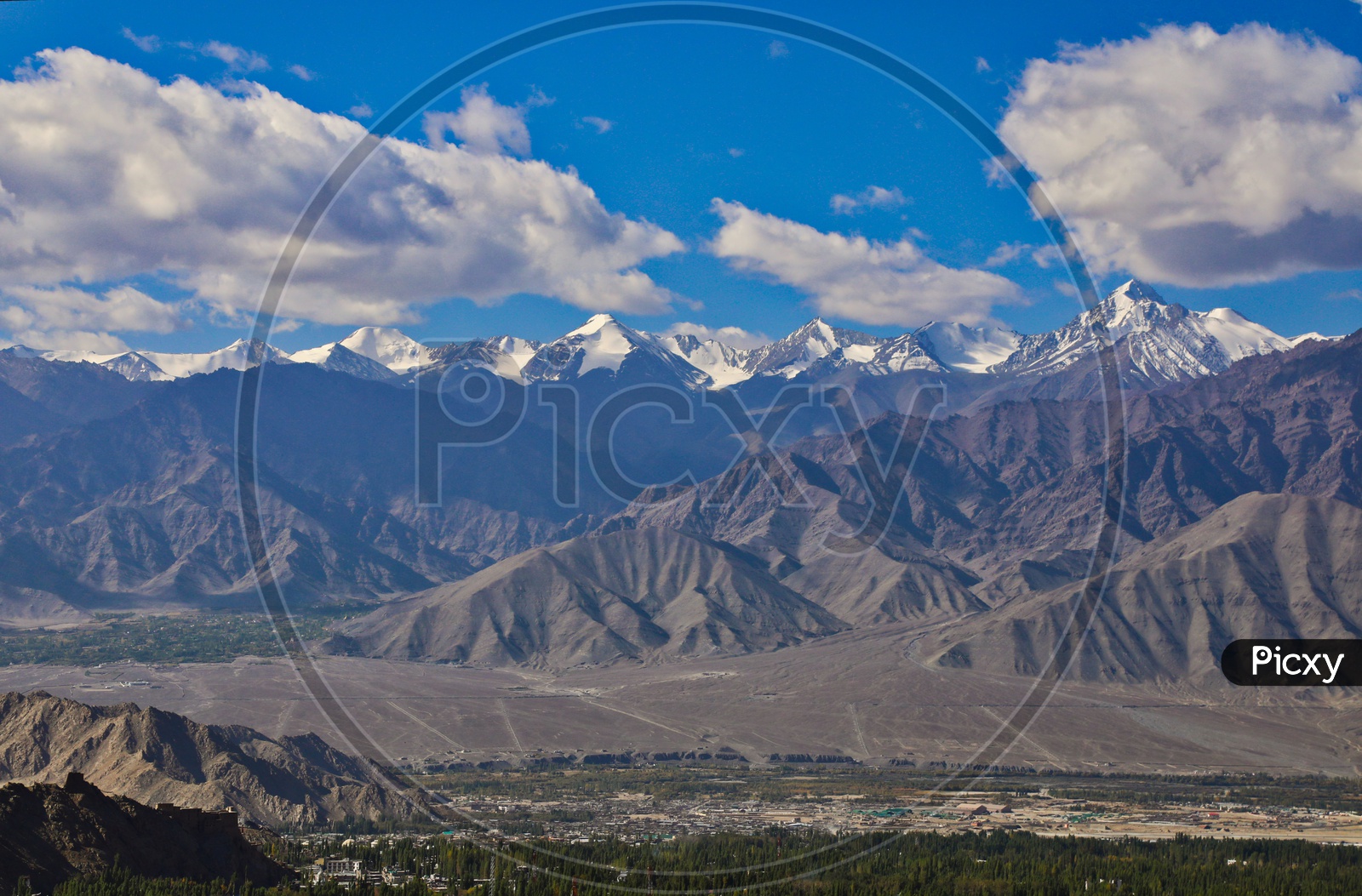 Landscape of snow capped mountains and the poplar trees