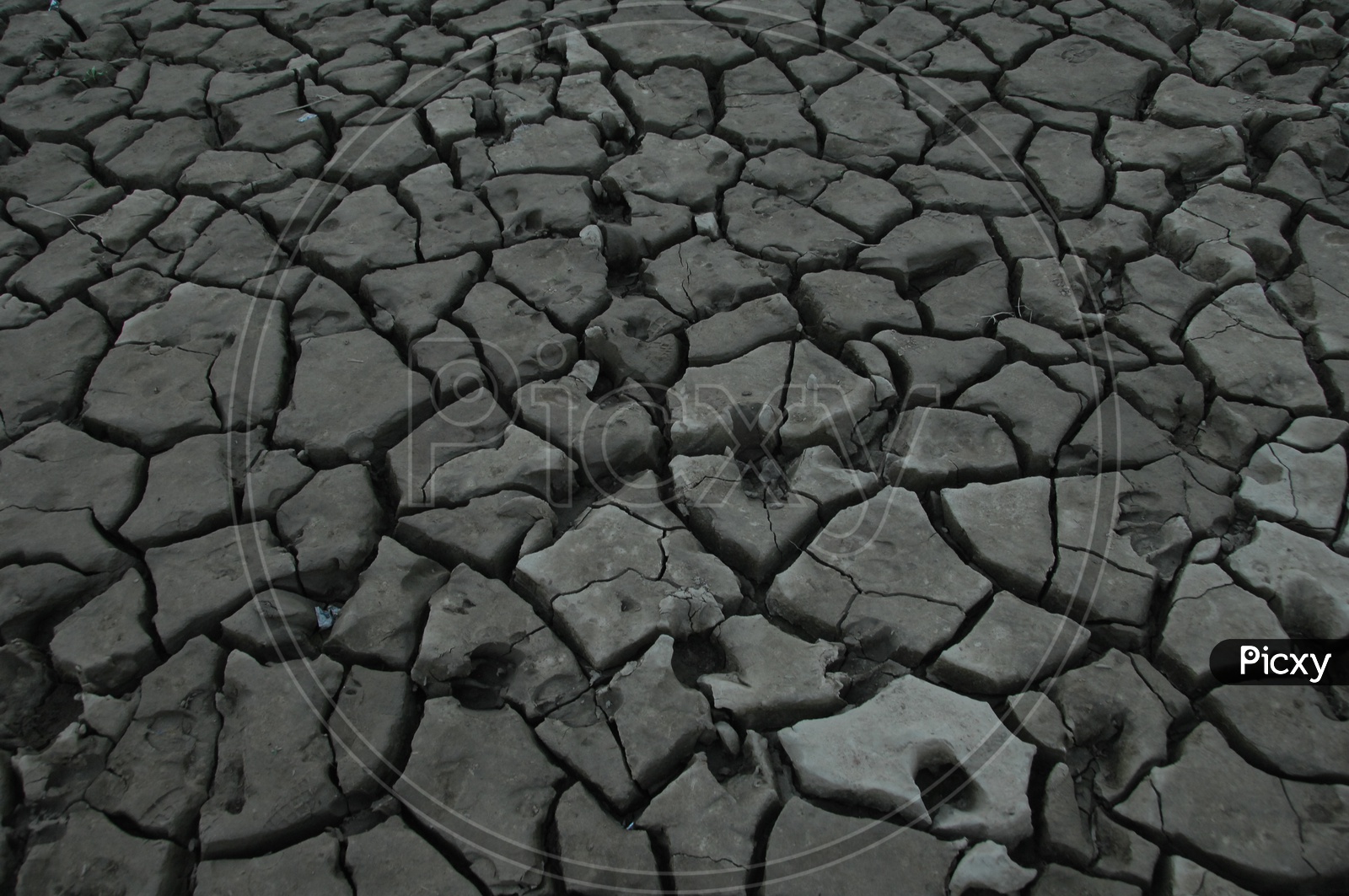 Mud Texture in a Fields, Drought,