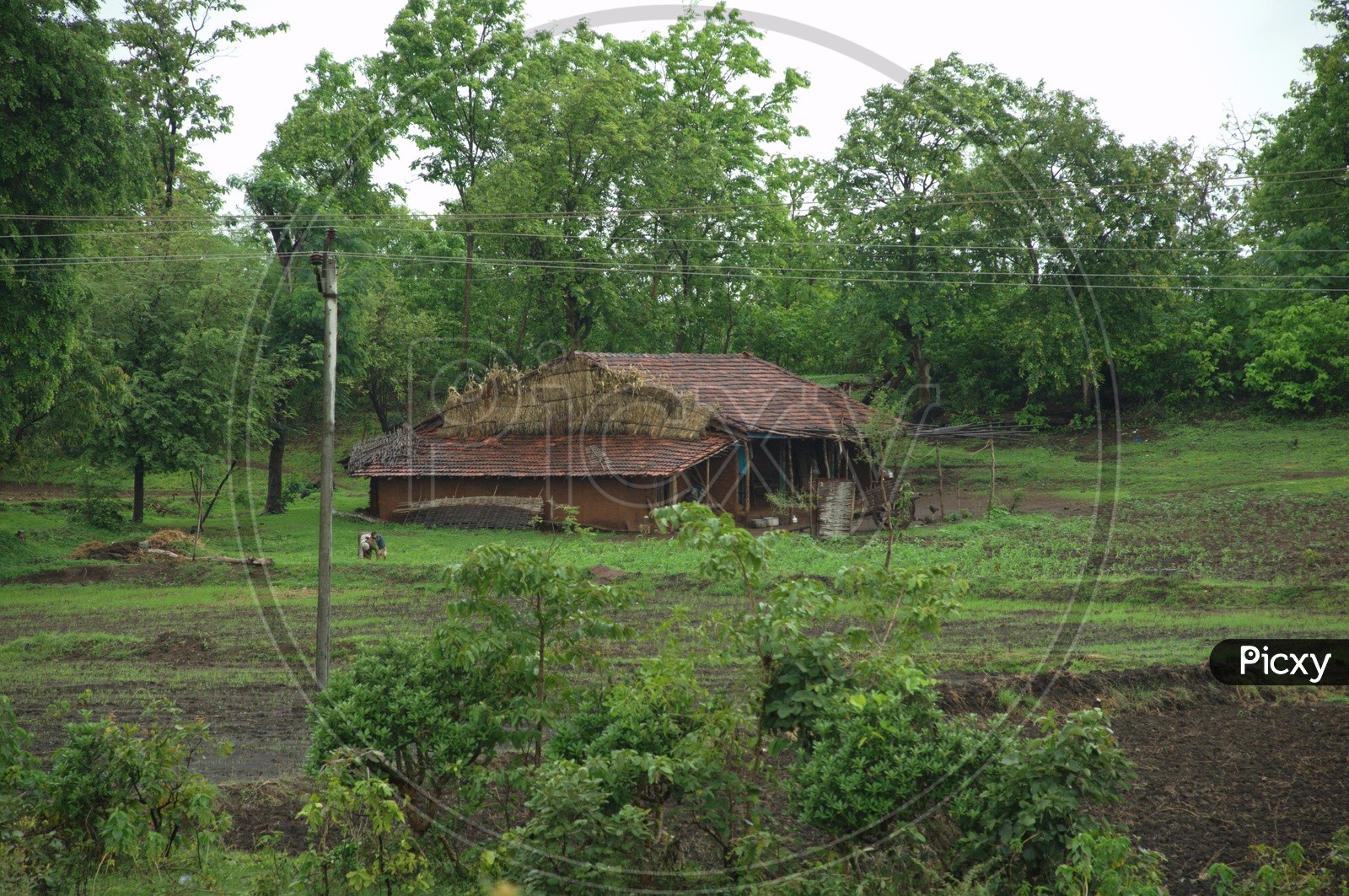 image-of-house-in-a-rural-area-in-the-midst-of-a-forest-eu676331-picxy