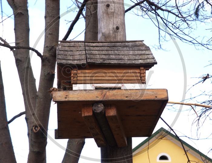 Wooden bird house on the tree