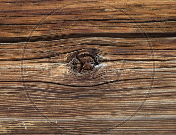 Abstract Wood Texture