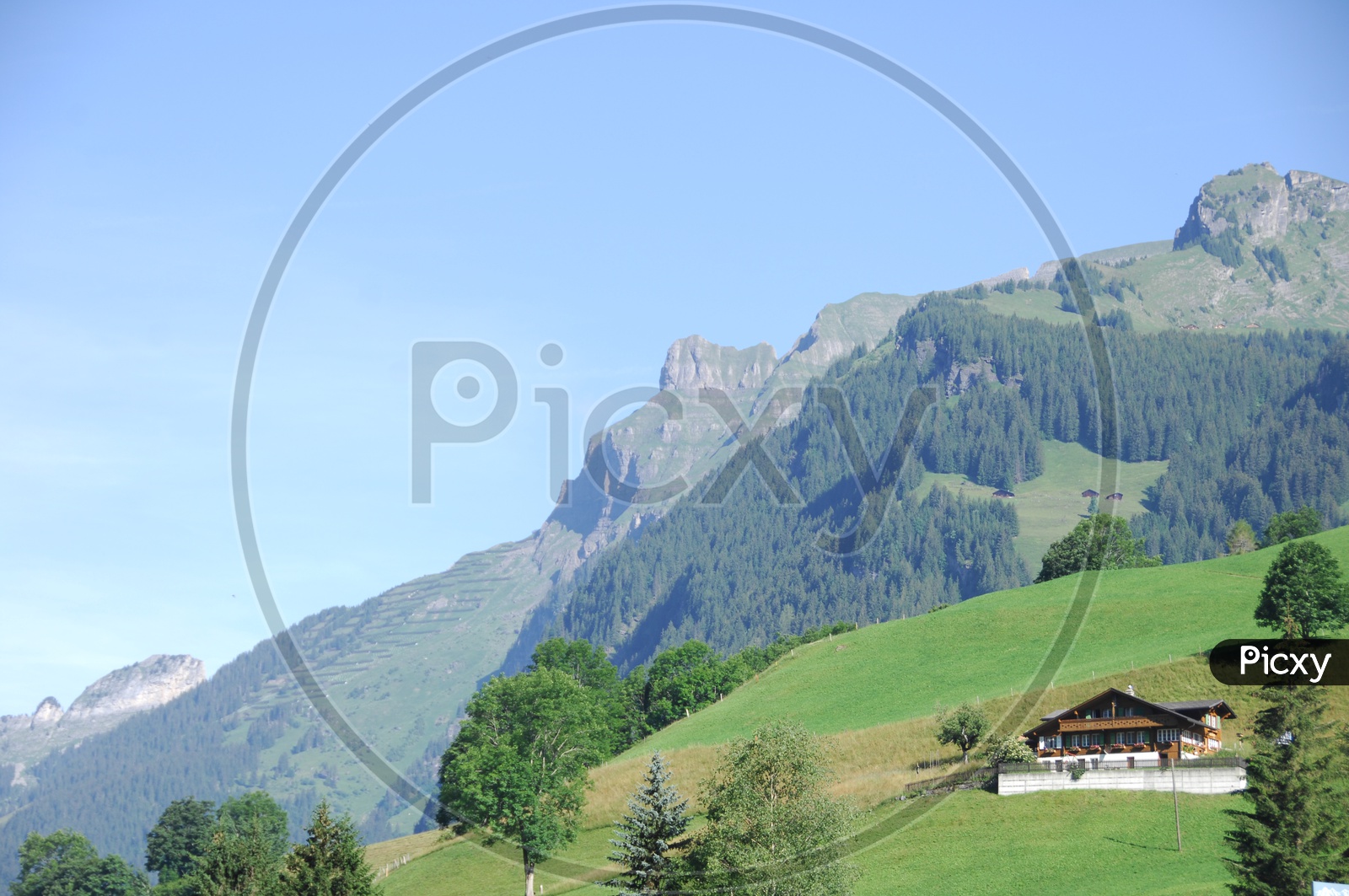 Isolated Houses in Terrains In  Switzerland  With Hills in Background