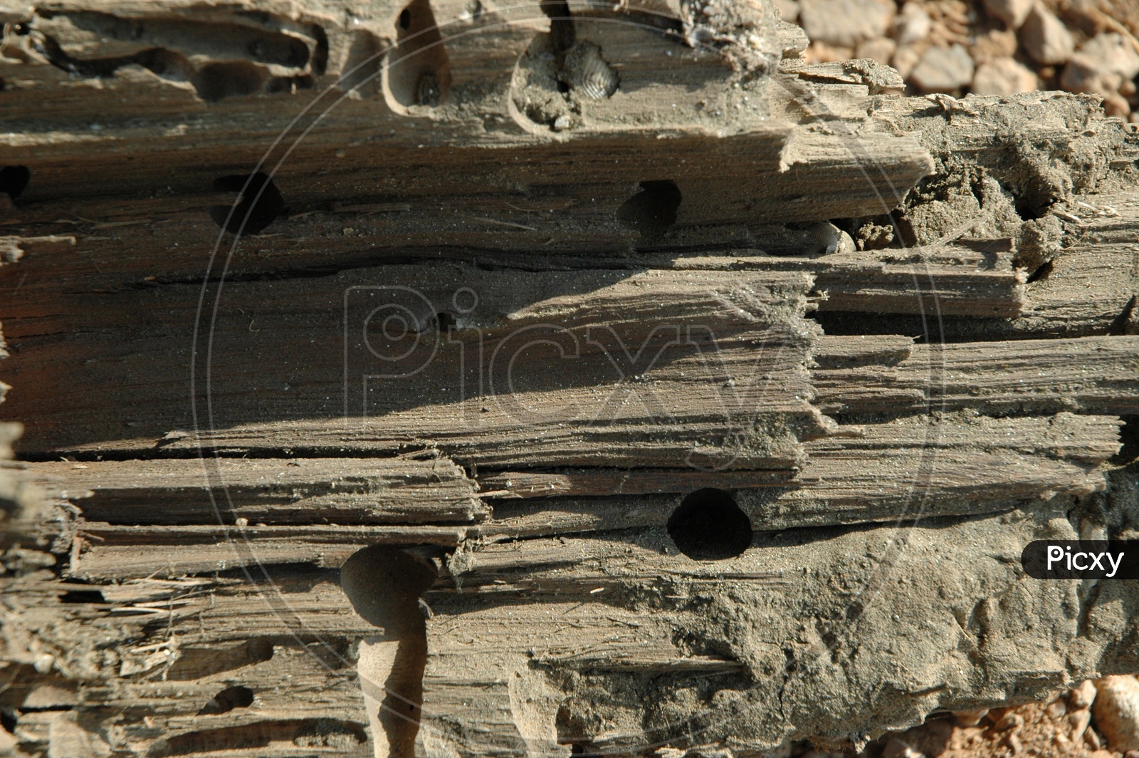 Abstract Raw stone Texture