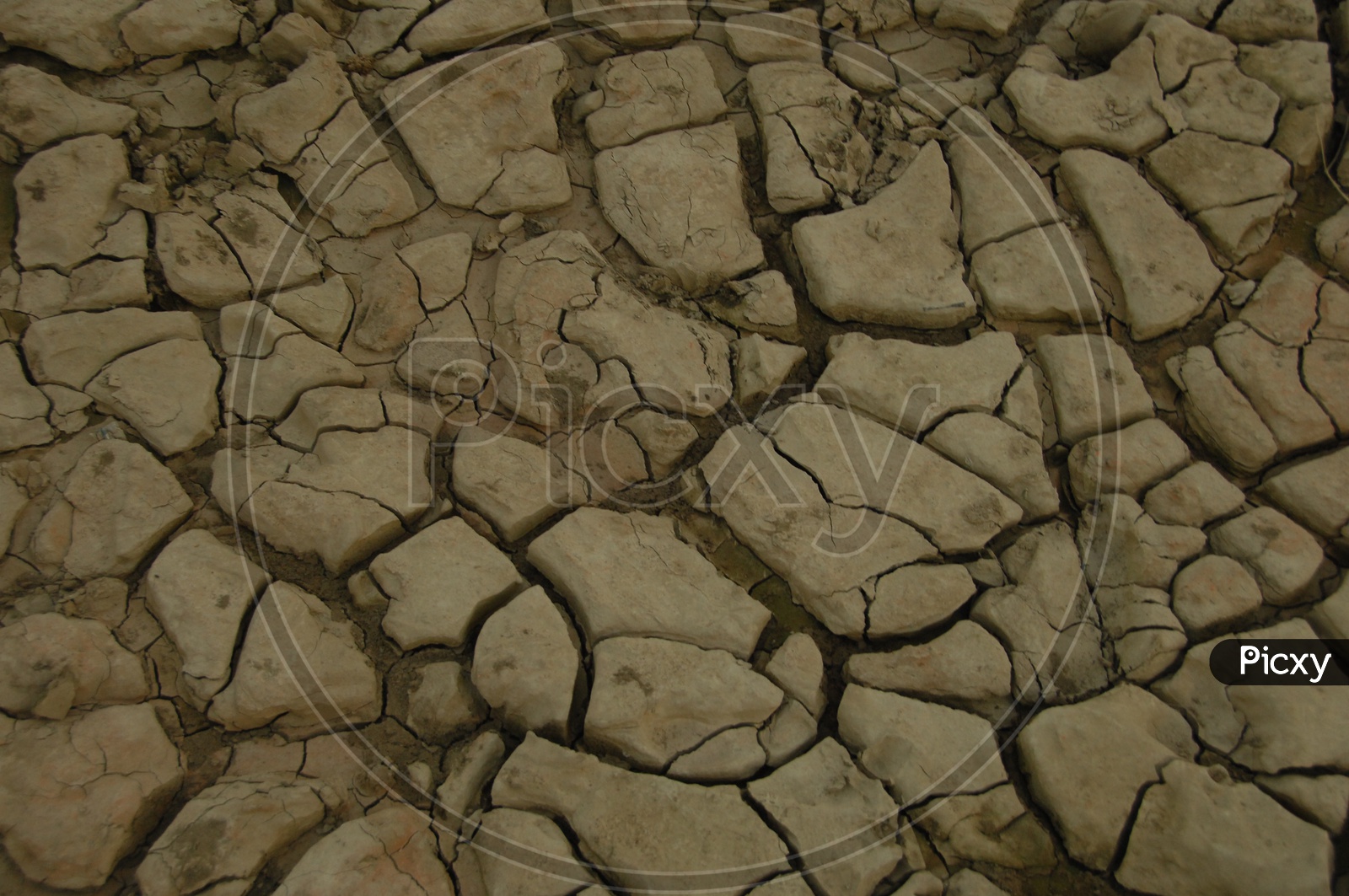 Mud Texture in a Fields, Draught, Famine