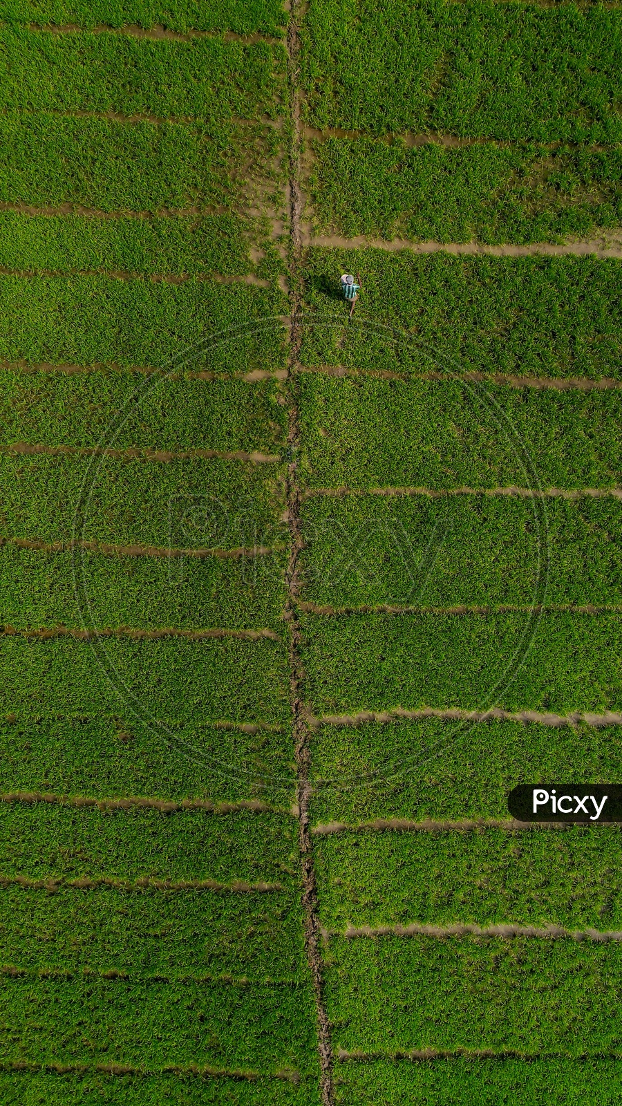 Aerial view of a farmer working on his fields