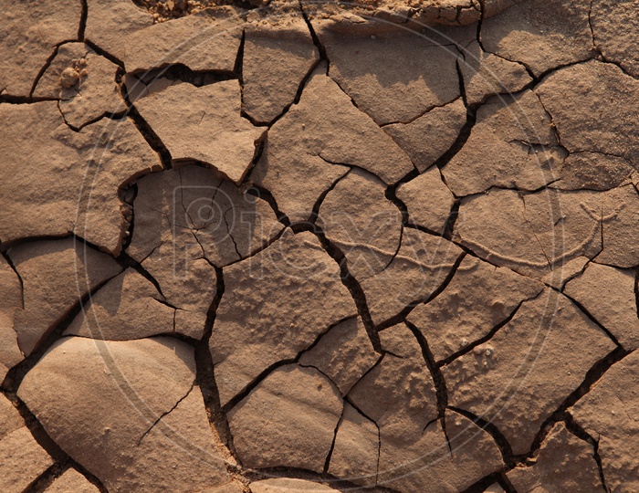 Mud Texture in a FieldsMud Texture in a Fields, Draught, Famine