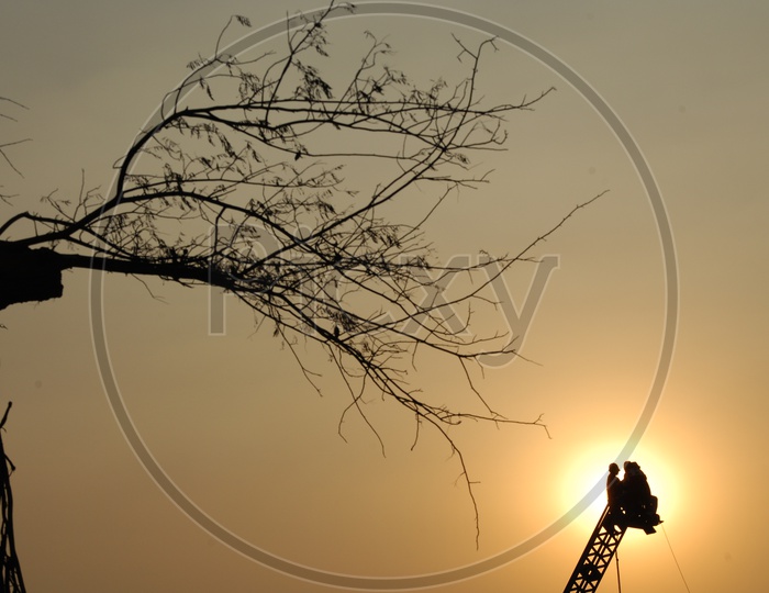 Silhouette of a tree and engineers alongside the crane during sunset