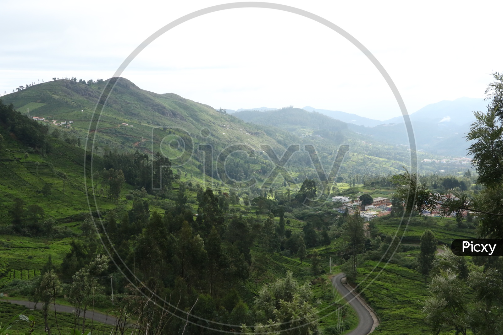 Aerial View of Roads In ooty between tea Plantations