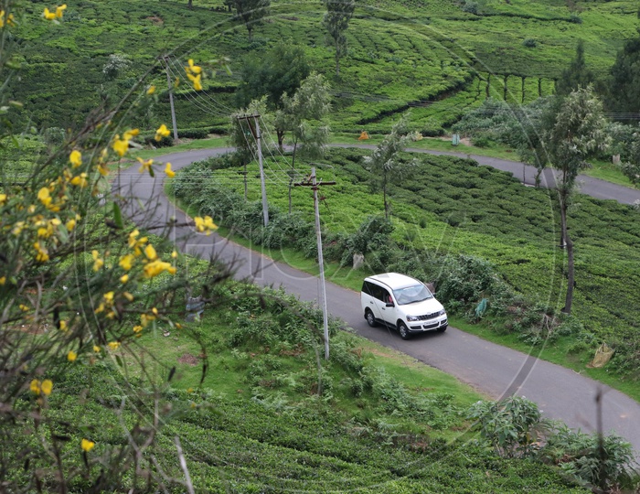 Vehicles on the Ghat Roads Of Ooty With tea Plantations