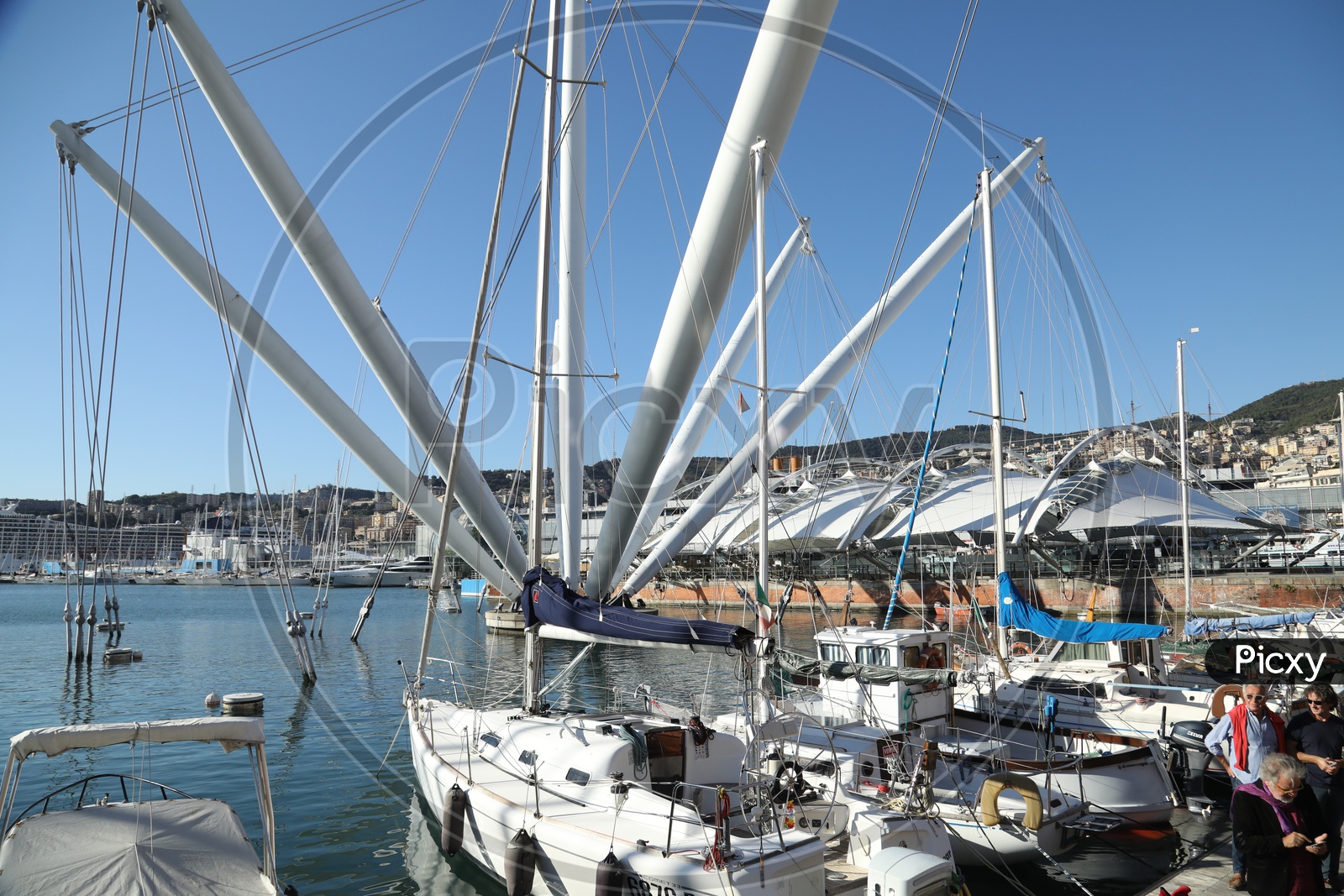 Group of Yachts at a Harbour