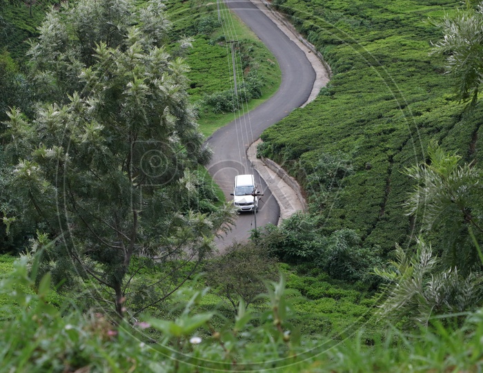 Vehicles on the Ghat Roads Of Ooty With tea Plantations
