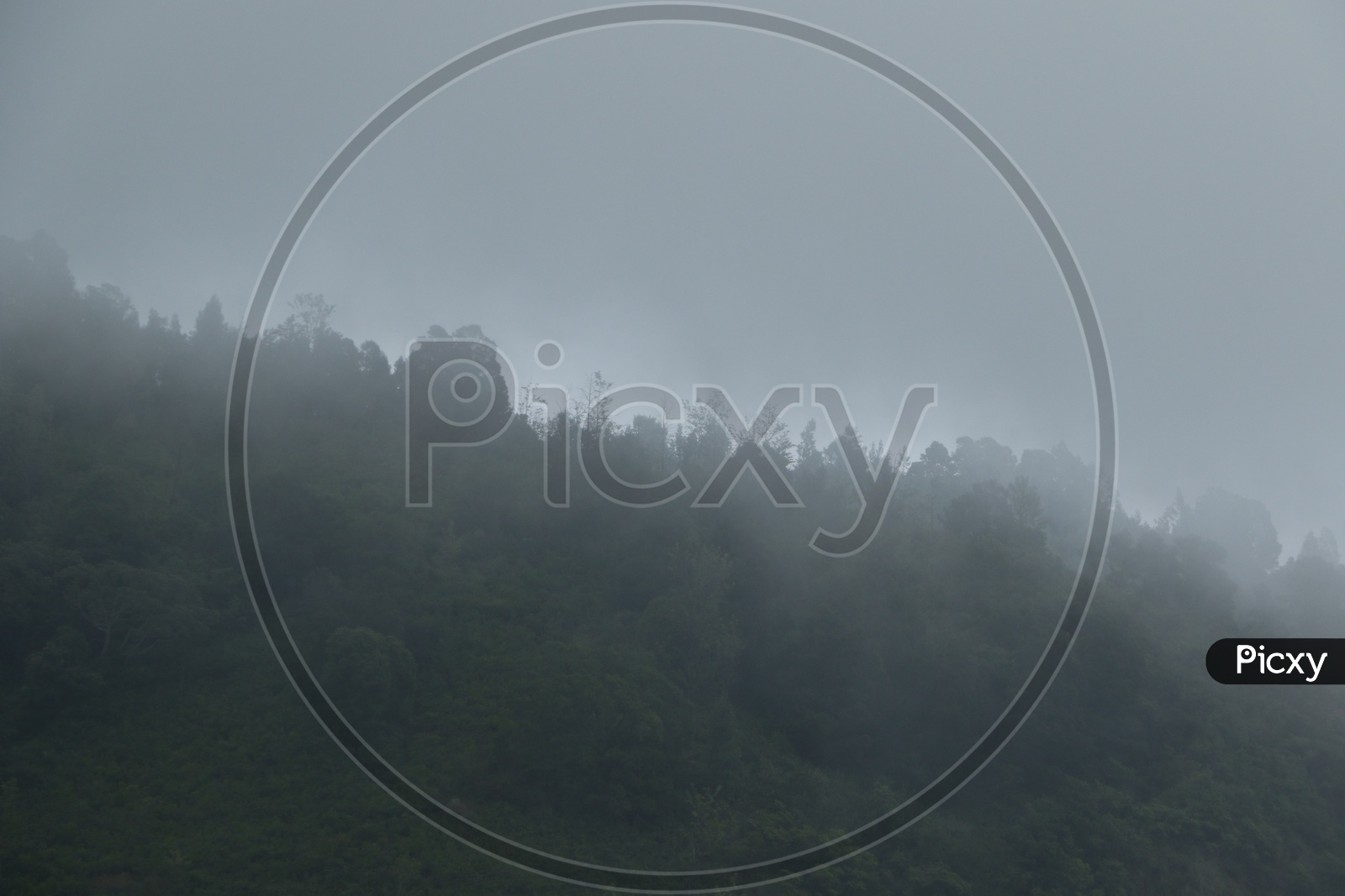 fog filled Hills of Ooty With green Trees