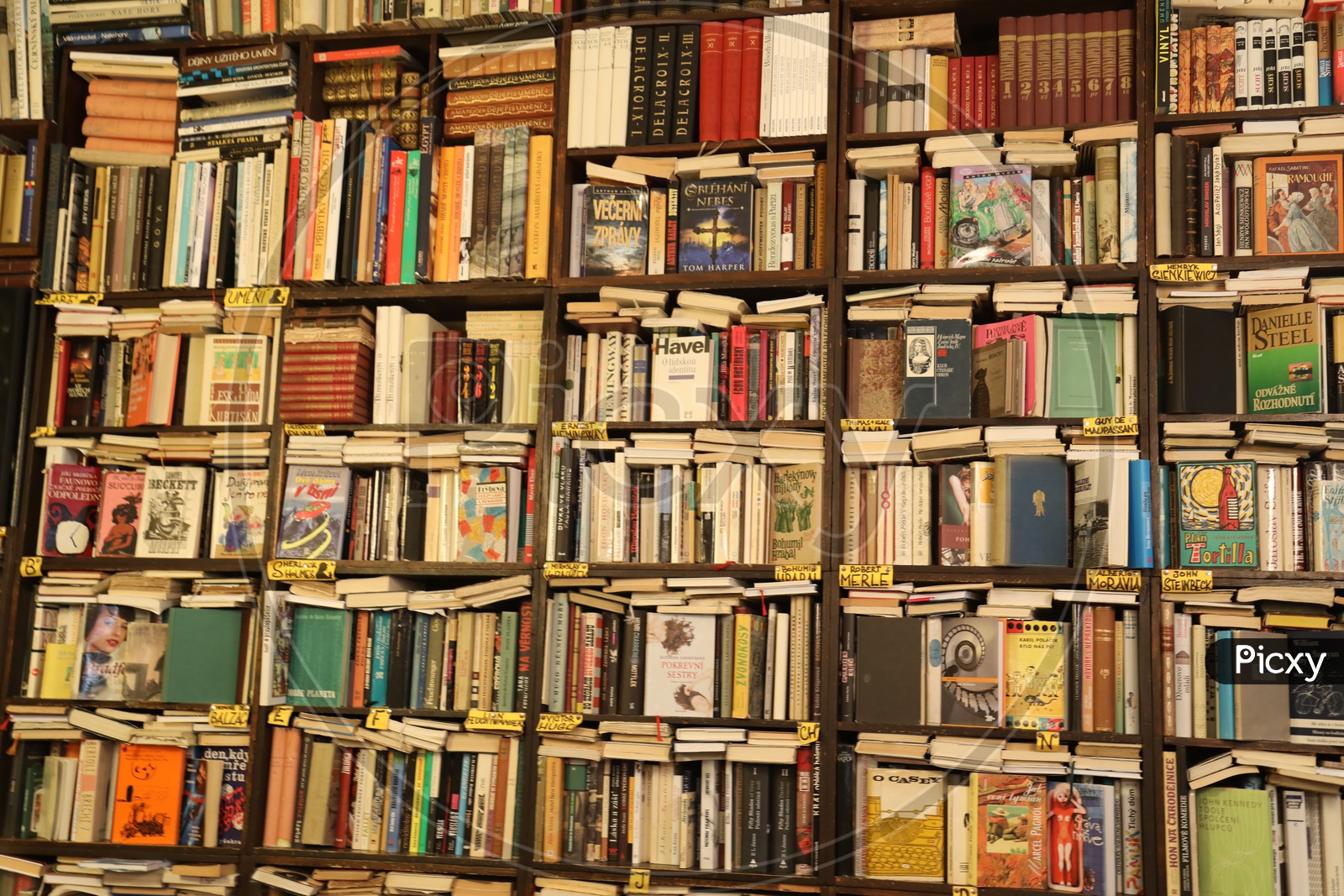 Books arranged in shelves