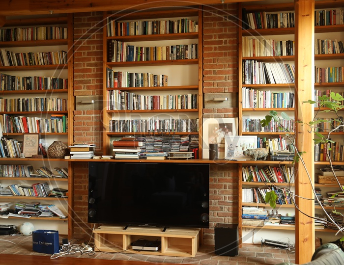 Book shelves in a room with led TV and an indoor plant