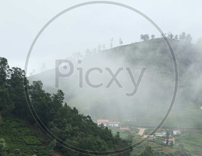 Houses in the Tea Plantations of Ooty With Fog All Around