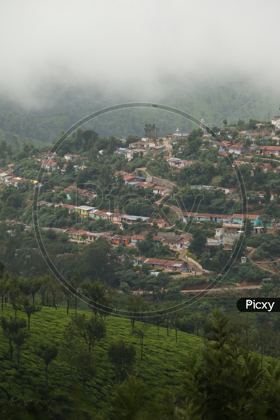 Aerial View of Tea Plantations and Houses on Hill Sides Of Ooty