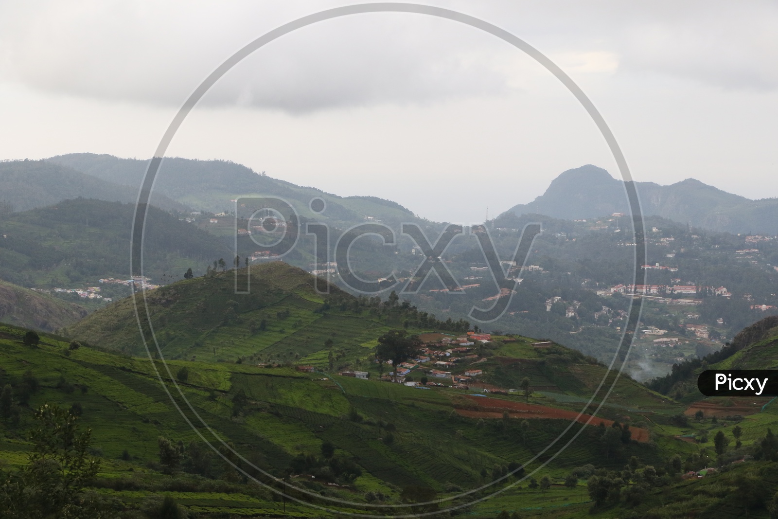 Tea Plantations and houses in Ooty Aerial View from a Hill Top