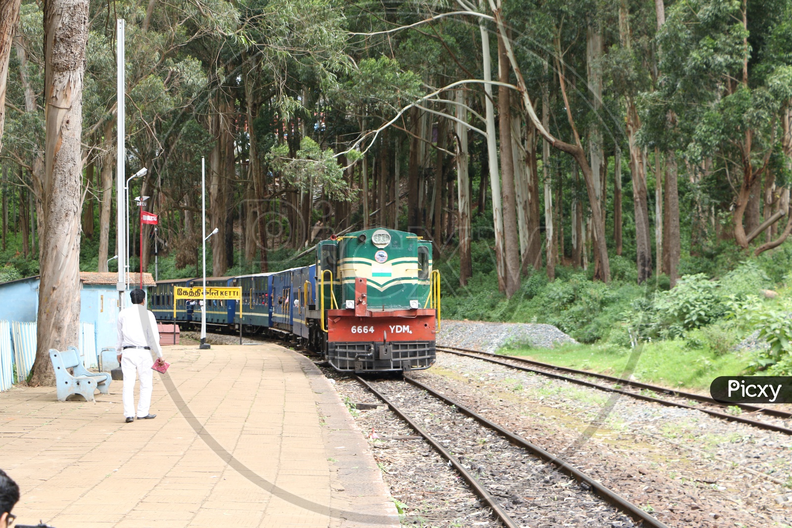 Train arriving at a Station in Ooty , Nilgiri Mountain Railways train