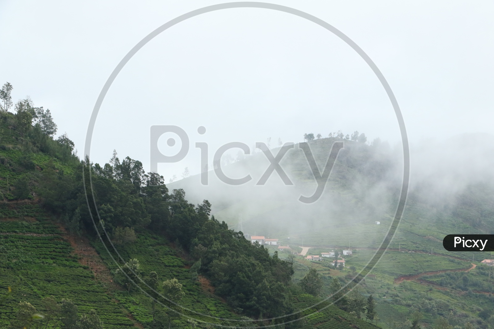 Valleys With Houses in Ooty