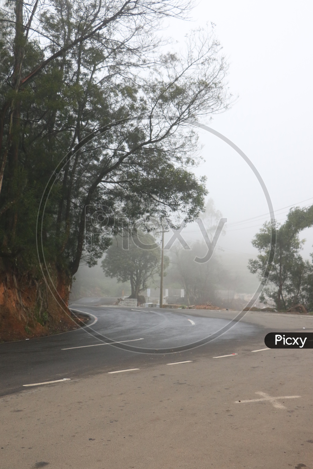 Ghat Road Curves In Ooty With Fog all Around