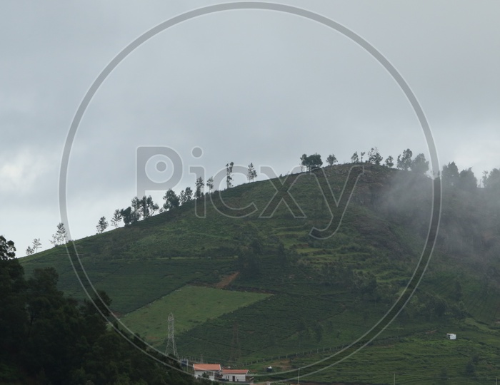 Houses in the Tea Plantations of Ooty With Fog All Around