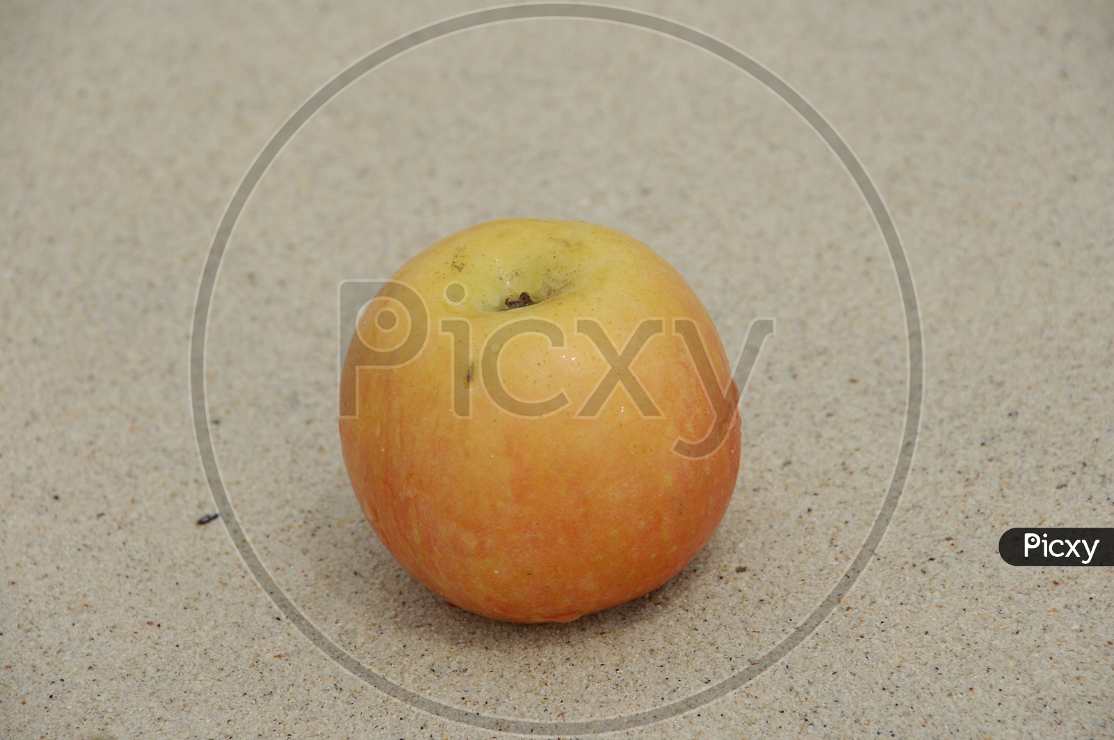 Close up shot of Apple fruit