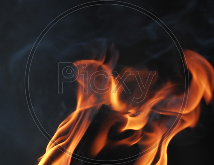 Close up shot of  Fire flames on black background