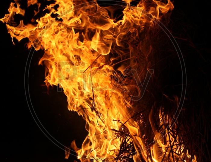 Photograph of Fire flames on a black background