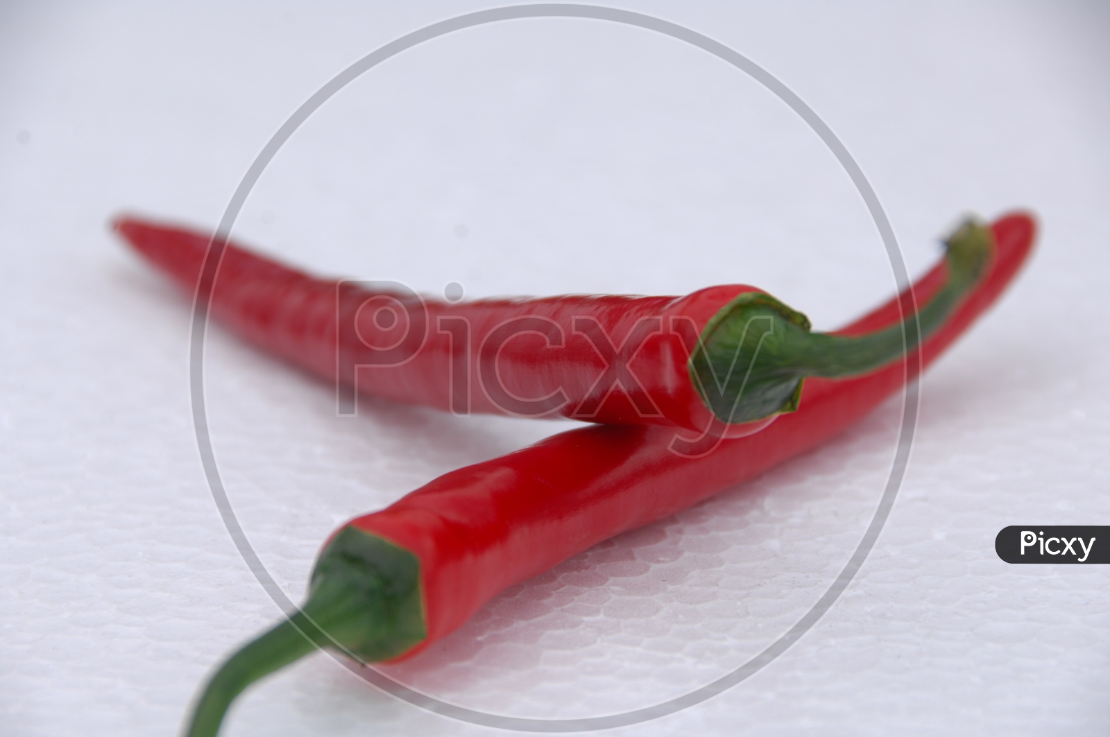 Red Chillies On an Isolated White Background
