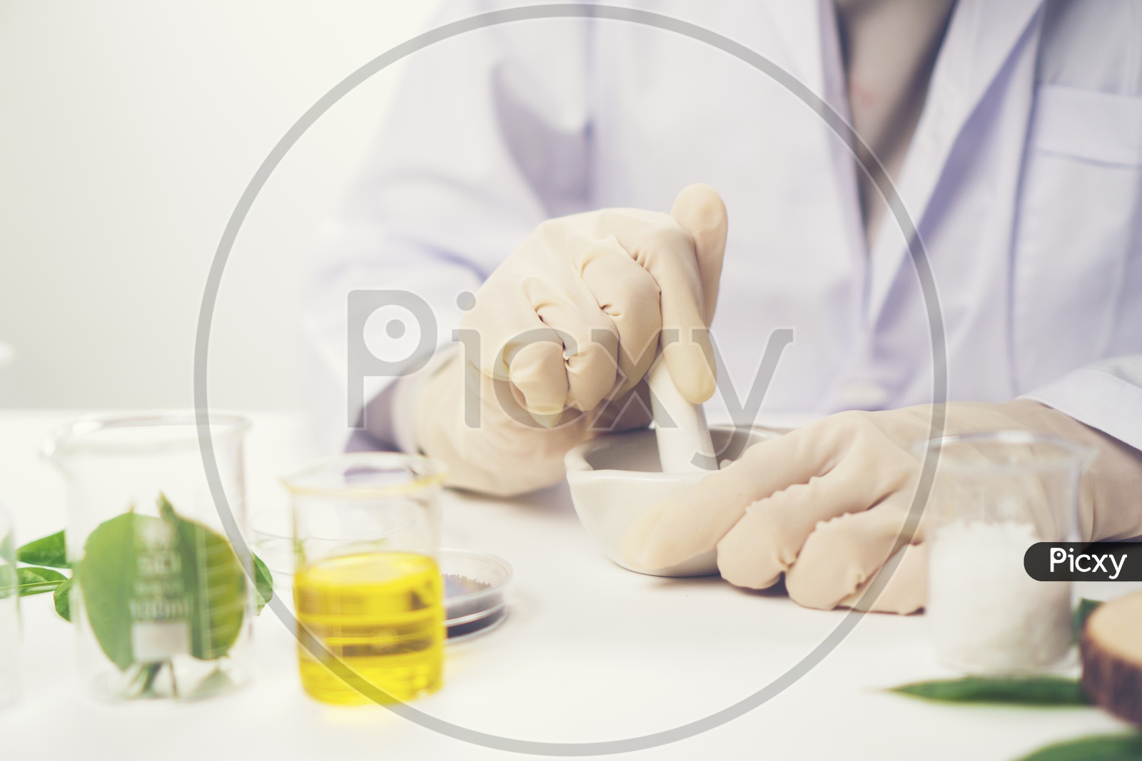 Woman Doctor Making medicine From Herbal Leafs  In a lab