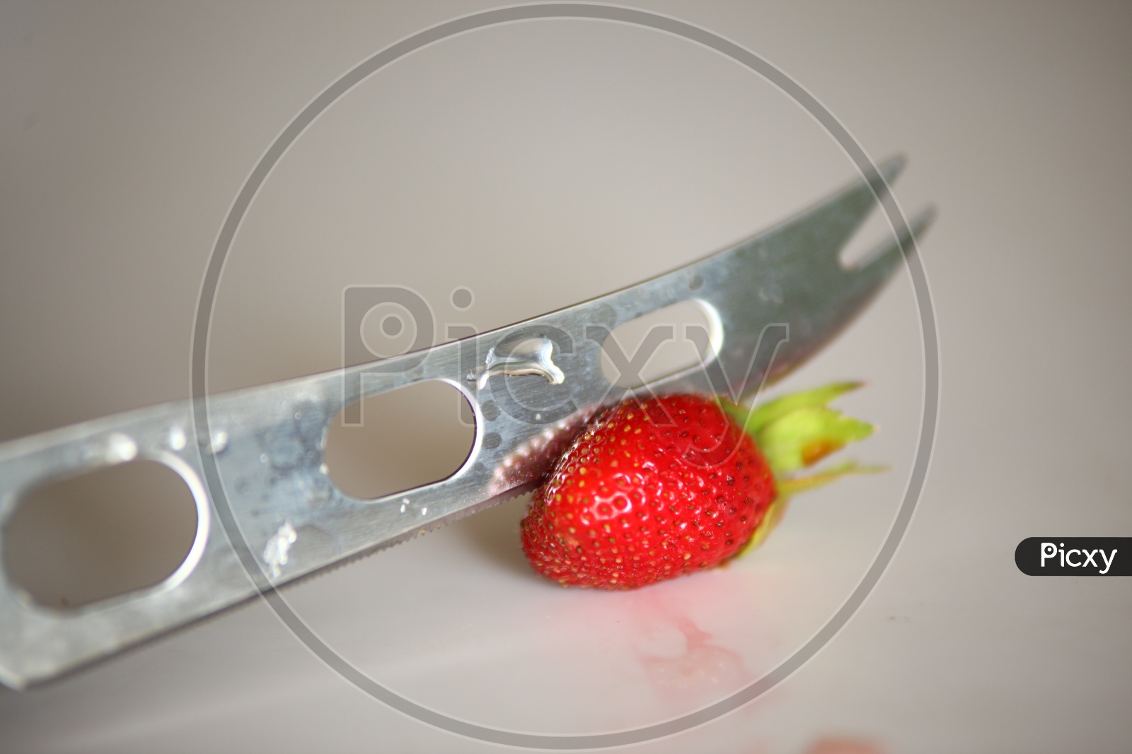 Strawberry Fruit Studio shot