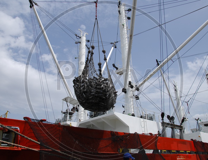 Cranes Carrying The Net Full Of Fish in a Fishing Harbor