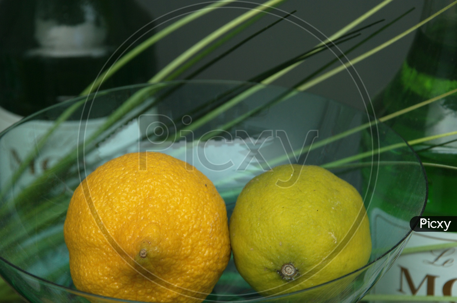 Close up shot of Oranges in Glass bowl