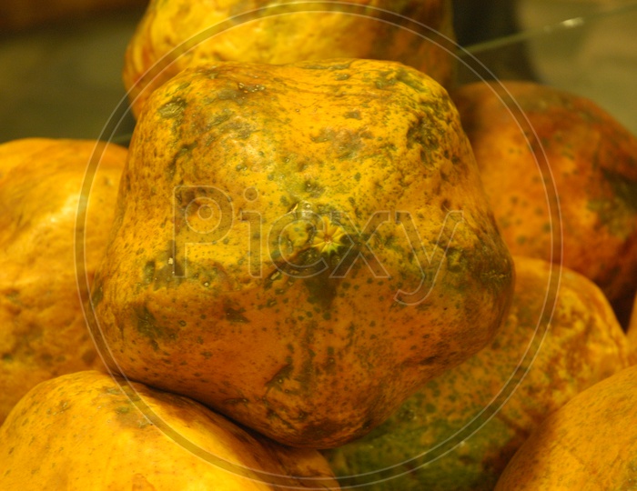 Close up shot of Yellow Papaya Fruits