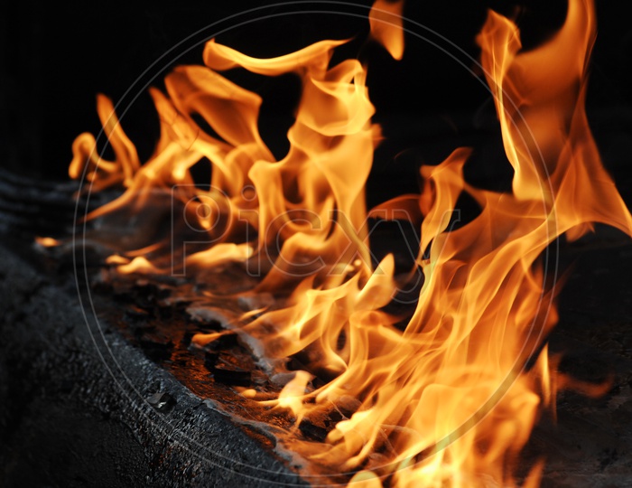 Close up shot of  Fire flames