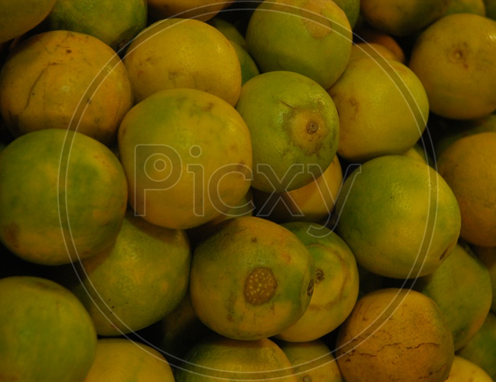 Close up shot of Orange fruit