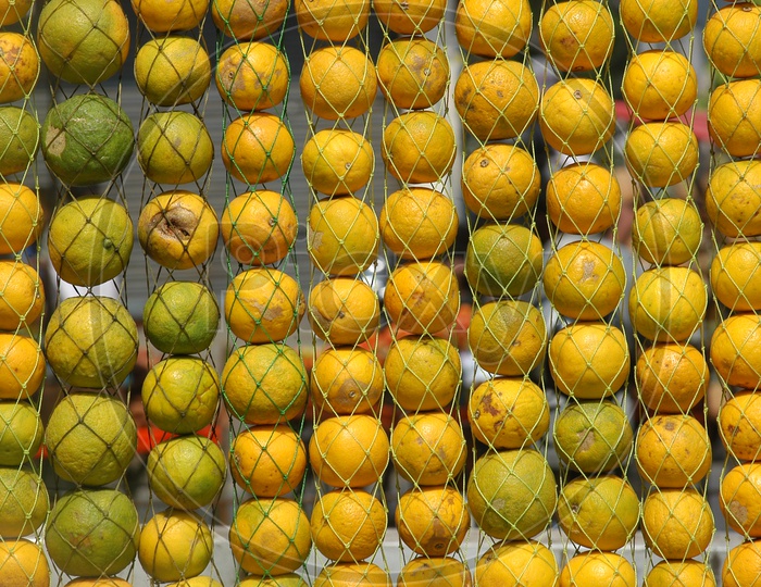 Photograph of Orange fruits in net bags