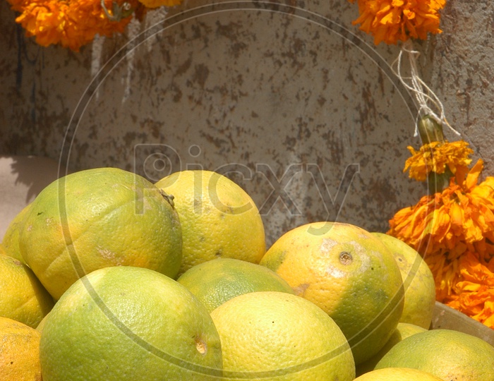 Close up shot of Orange fruits