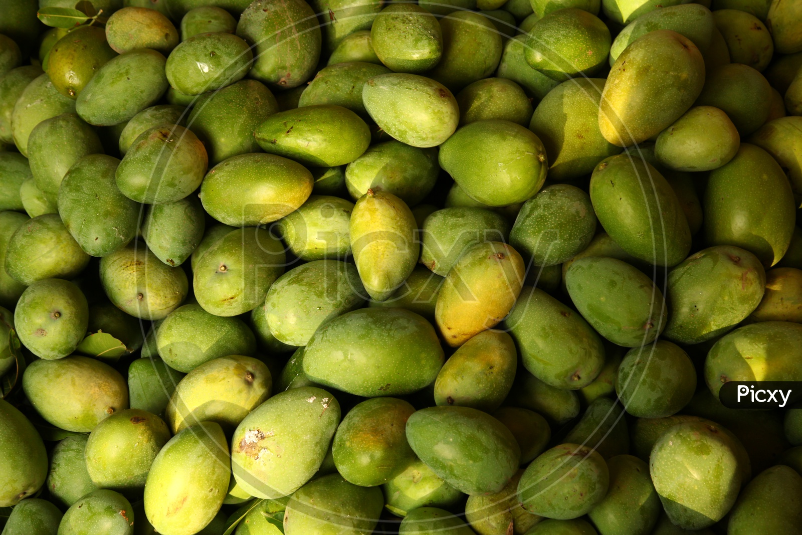 Indian Mangoes Pile Up