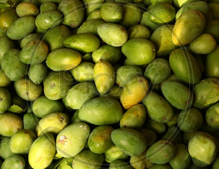 Indian Mangoes Pile Up