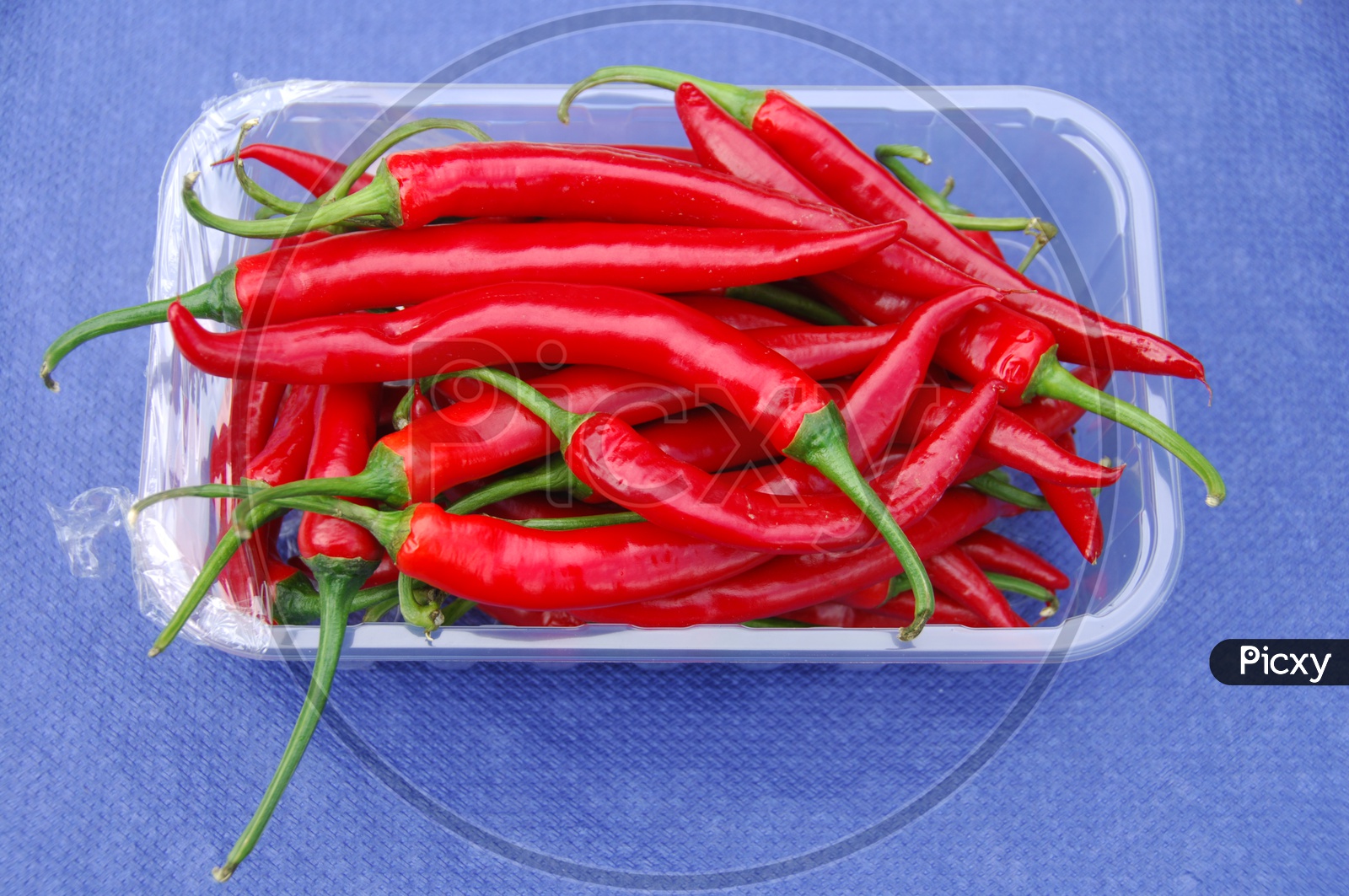Indian Red Chillies on a Sealed with Cover in  a Box