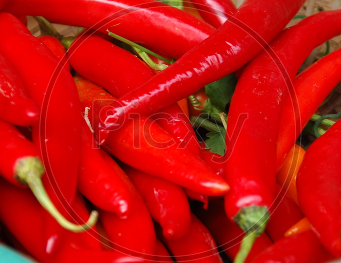 Indian Red Chillies Closeup Shot