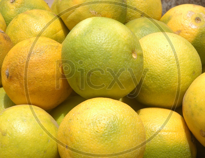 Close up shot of Orange Fruits
