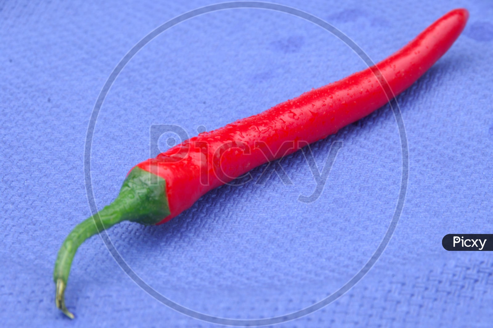Red Chillies On an Isolated  Background