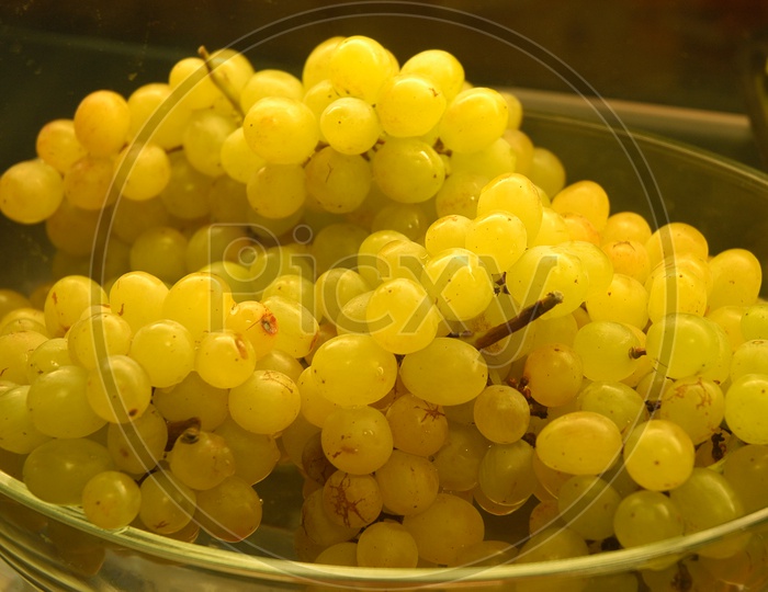 Close up shot of Grapes in a glass bowl