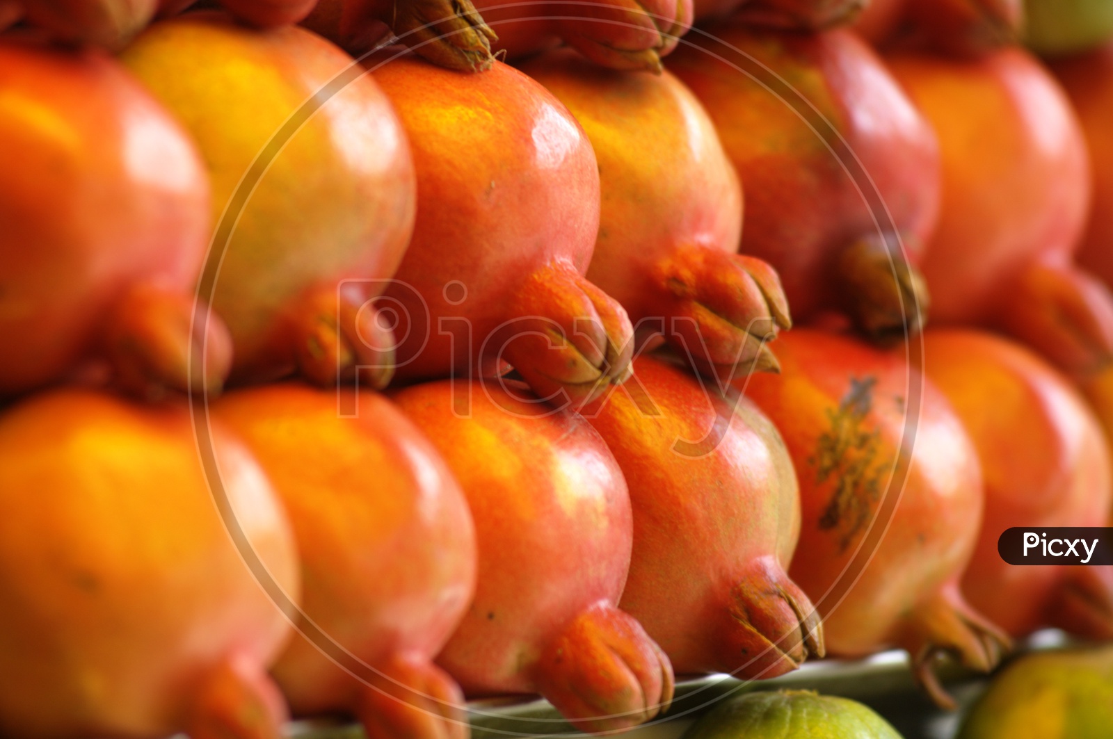 Close up shot of Pomegranate fruit placed in sequence
