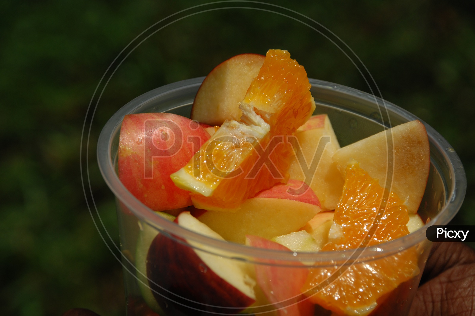 Apple and Orange pieces in a plastic cup