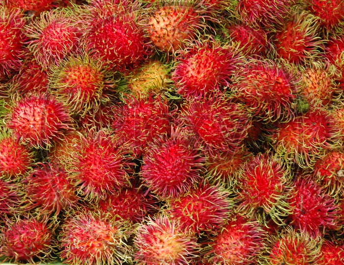 Photograph of Rambutan fruits