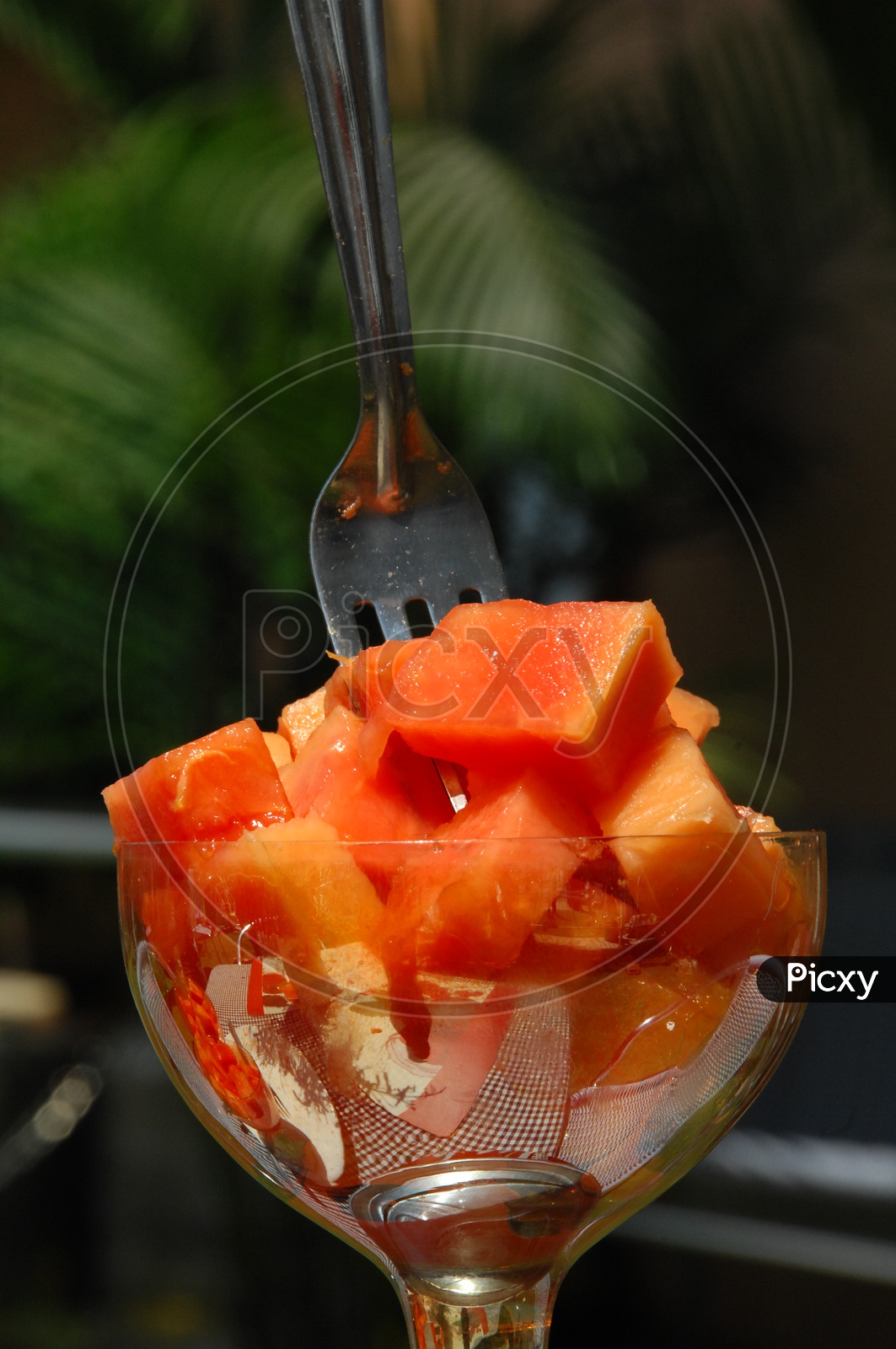 Papaya fruit pieces in a glass cup with fork